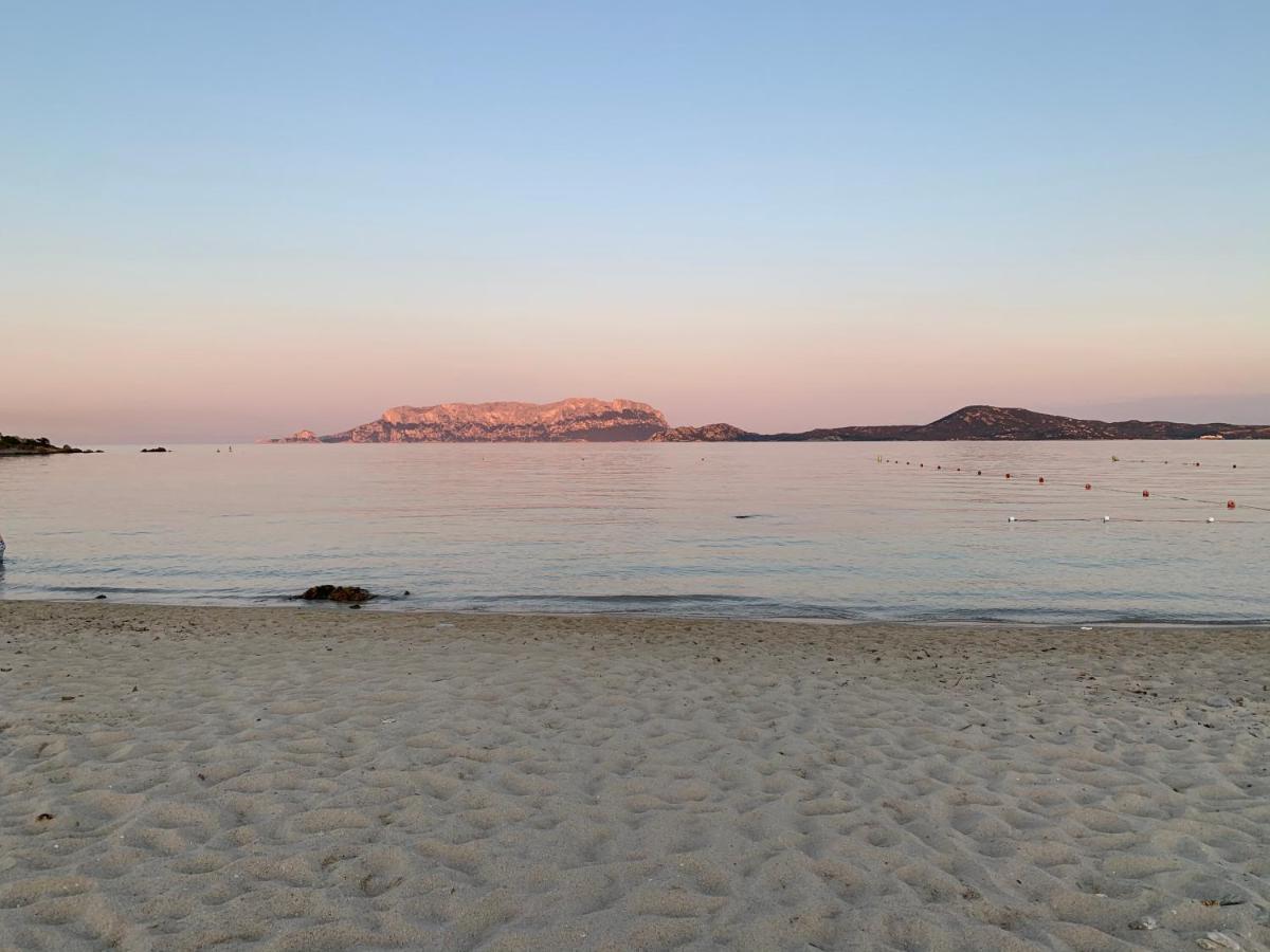 Il Salice Gasthuis Olbia